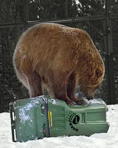 Bear Proof Trash High Resolution Stock Photography And Images Alamy