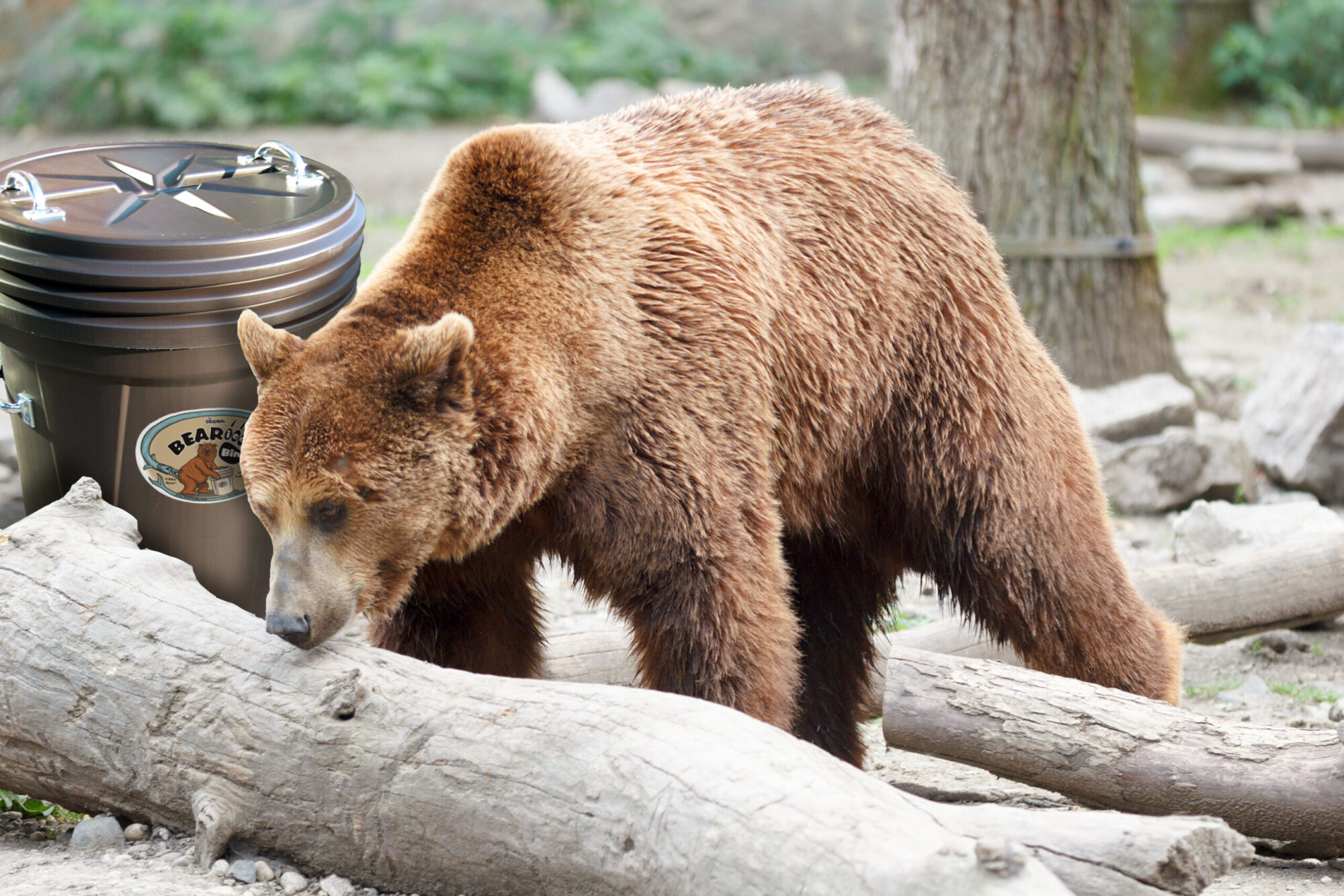 basic bear-resistant trash can