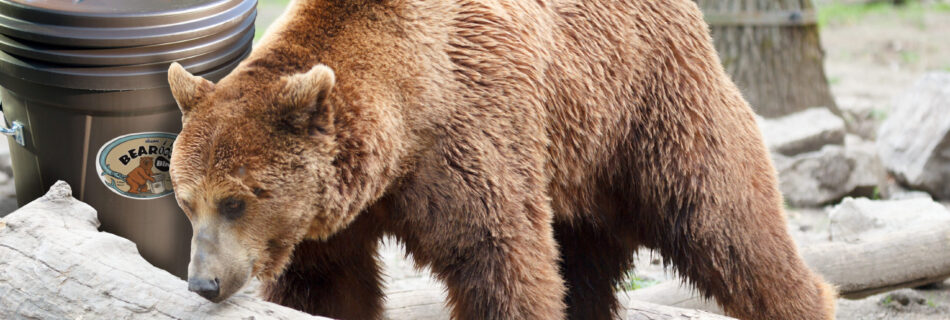 basic bear-resistant trash can