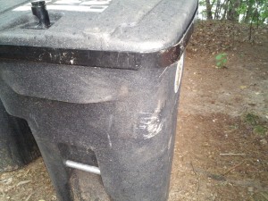 bear proof garbage can