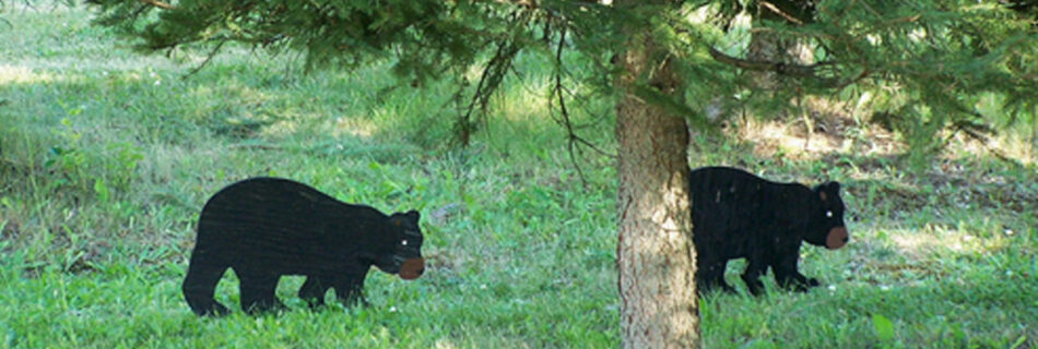 black bears in neighborhood