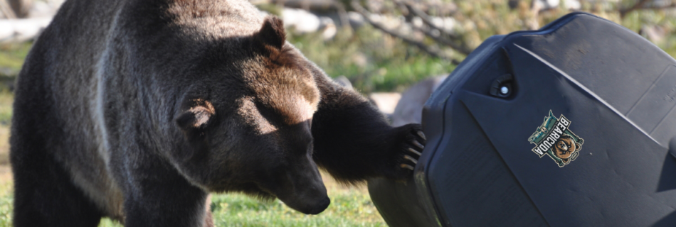 Bearproof vs bear-resistant. know the difference