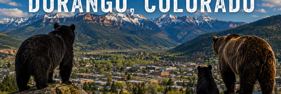 bearproof trash cans in durango, co